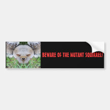 Beware Of The Mutant Squirrel! Bumper Stickers