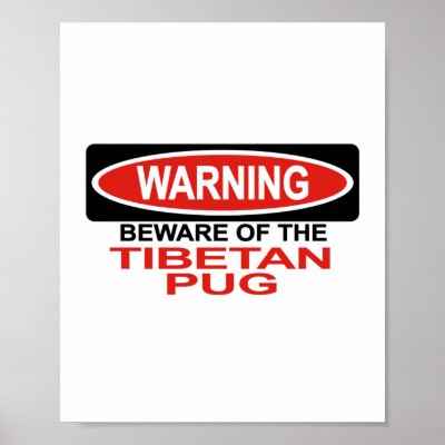 Beware Of Tibetan Pug Poster by Bewareofdogs