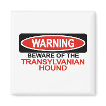 Beware Of Transylvanian Hound magnets by Bewareofdogs Beware Of Transylvanian Hound magnets