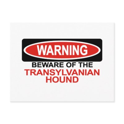 Beware Of Transylvanian Hound Postcards by Bewareofdogs