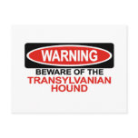 Beware Of Transylvanian Hound Postcards