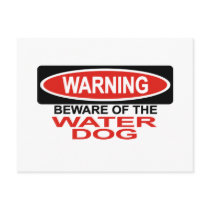 Beware Of Water Dog Post Card