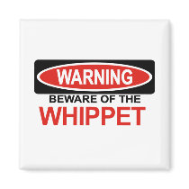 Beware Of Whippet Magnet