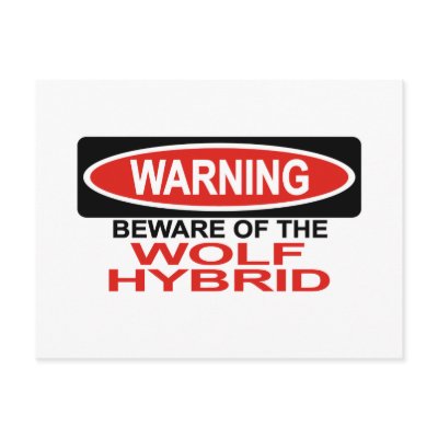 Beware Of Wolf Hybrid Postcards by Bewareofdogs
