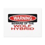 Beware Of Wolf Hybrid Postcards