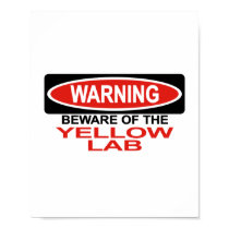 Beware Of Yellow Lab posters