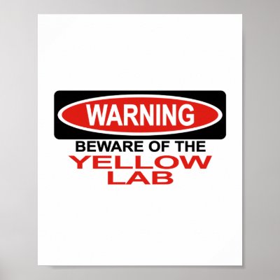 Beware Of Yellow Lab Print by Bewareofdogs