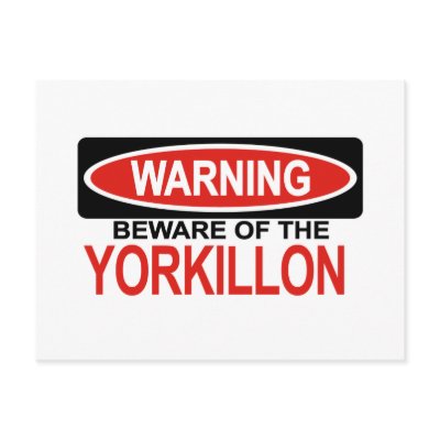 Beware Of Yorkillon Post Cards by Bewareofdogs