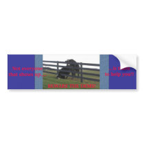 BEWARE THE DEMS! bumper stickers