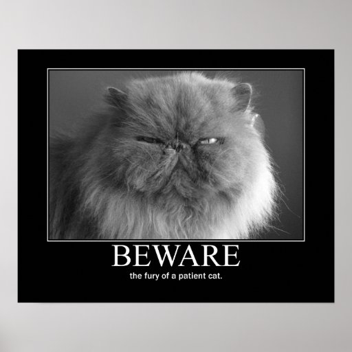 beware_the_fury_of_a_patient_cat_artwork_posters-r0bd2d6763bfd457cb57599d0d2012ee8_wv3_8byvr_512.jpg