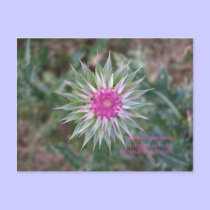 BeWhatYouDream postcards