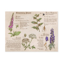 Bewitching Plants Feild Guide Postcard