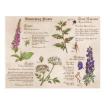 Bewitching Plants Feild Guide Postcard postcards