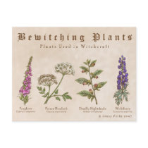 Bewitching Plants Postcard