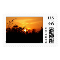 'beyond beauty' postage by Candy1233 'beyond beauty' postage