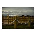 Beyond The Ropes Print by sruhs Beyond The Ropes Print