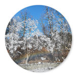 Beyond The Wall Magnet