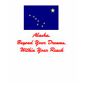 Beyond Your Dearms, Within Your Reach Camisole t-shirts by Rice888 Beyond Your Dearms, Within Your Reach Camisole t-shirts