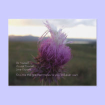BeYourself postcards