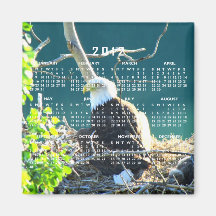 BEYR Bald Eagle Yukon River Refrigerator Magnet