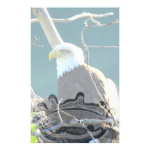 BEYR Bald Eagle Yukon River Stationery