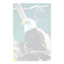 BEYR Bald Eagle Yukon River Stationery Design