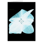 Bezier Theme 1.1 (card)