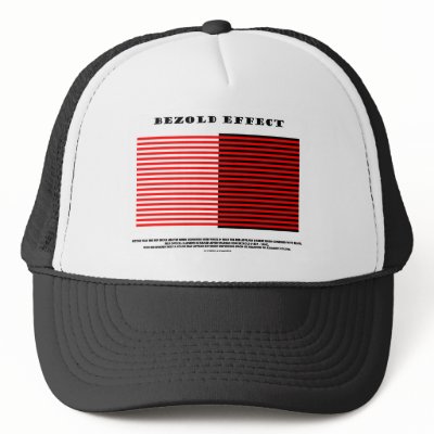 Bezold Effect (Optical Illusion) Hat by wordsunwords