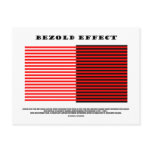 Bezold Effect (Optical Illusion) Post Cards