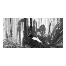 BFblack&white Photo Card
