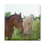 BFF Best Friends Forever - Horses magnets