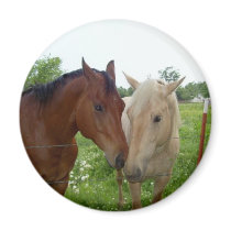 BFF Best Friends Forever - Horses Magnets