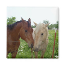 BFF Best Friends Forever - Horses Fridge Magnets