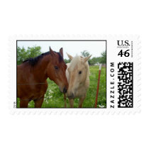BFF Best Friends Forever - Horses Postage