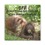 BFF Best Friends Forever Magnets