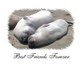 BFF- Best Friends Forever shirt