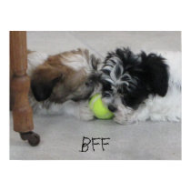 BFF Best Friends Puppy Poster posters by patsarts BFF Best Friends Puppy Poster posters