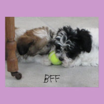BFF Best Friends Puppy Poster posters