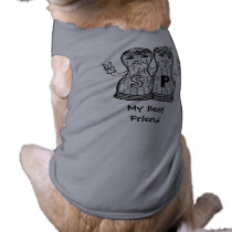 BFF Spice friends Dog Shirt pet clothing