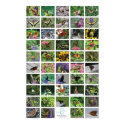 bfly_50_poster posters by demigail bfly_50_poster posters
