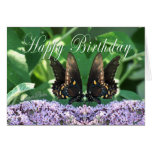 BflyKissesHBDcard