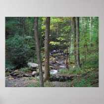 BG- Back to Nature Stream Print