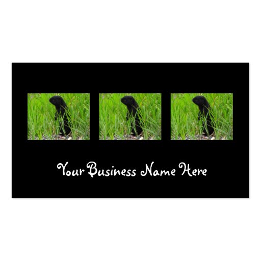 BGRO Black Ground Squirrel Business Card Template (front side)