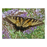 BH- Awesome Butterfly Note or Greeting Card