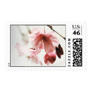 BH- Cherry blossom stamps stamp