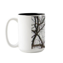 BH- Red-shouldered Hawk Mug