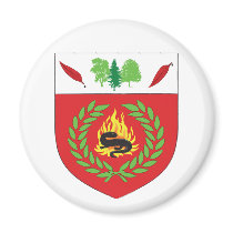 bhakail magnet magnets