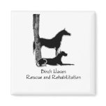 BHRR Magnets