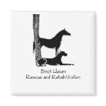 BHRR Magnets