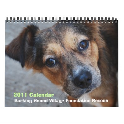 BHVF Rescue 2011 Calendar BHVF Rescue 2011 Calendar
